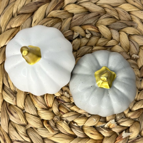 Small Fall Pumpkin Decorations - Picture 2 of 3